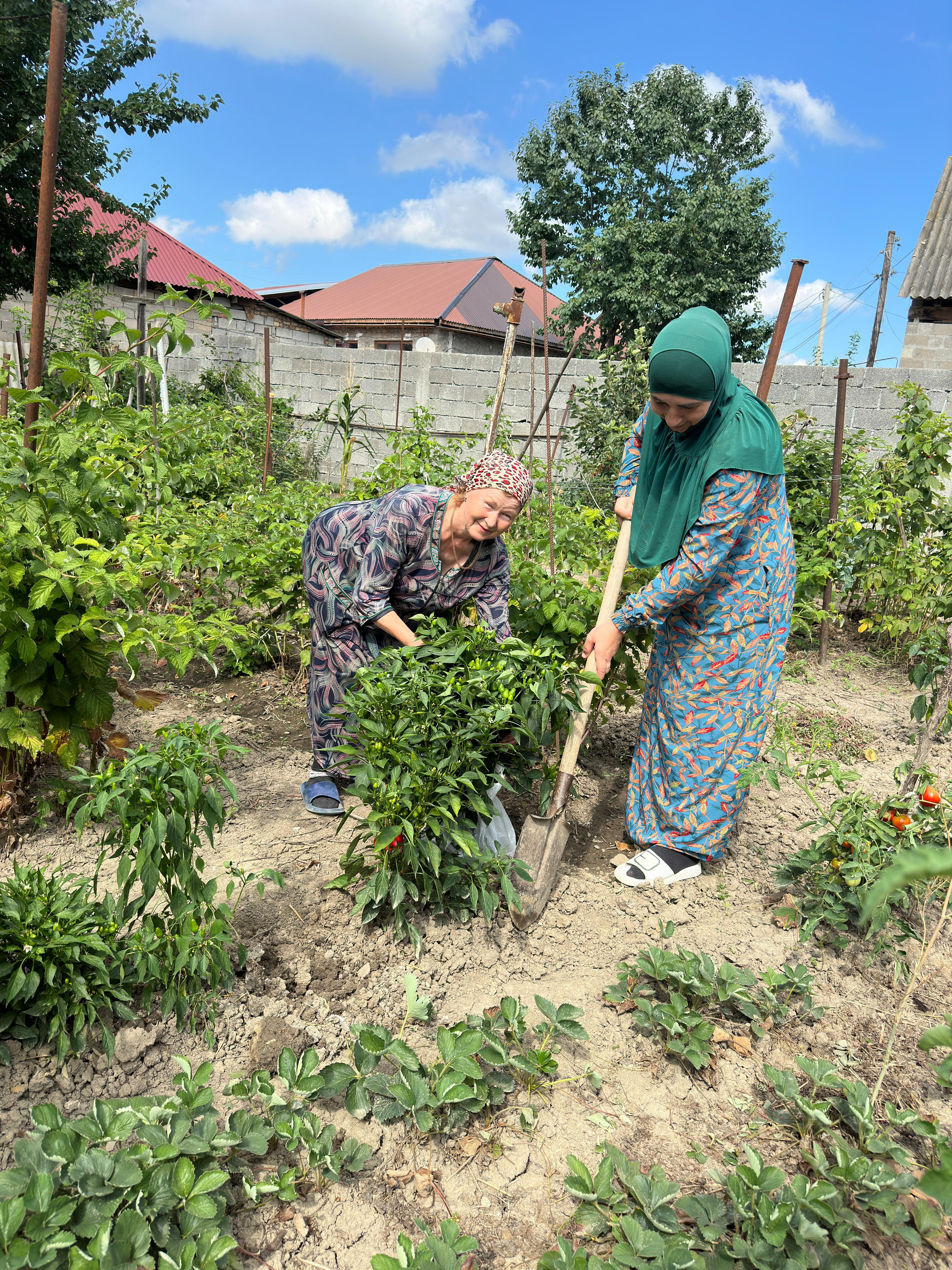 Социальная работа и добросовестный труд